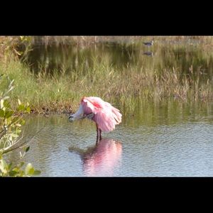 Meet your Posher, Cathy